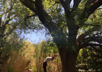 a person standing on a block in front of a tree